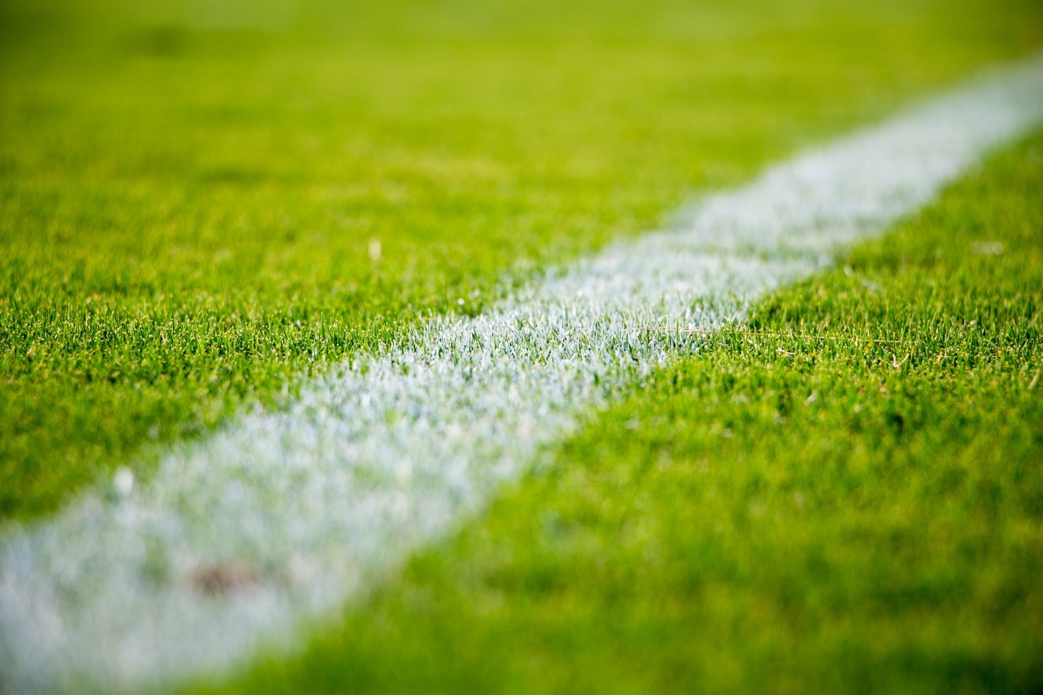 From Grassroots to Glory: Inspiring Sports Journeys
